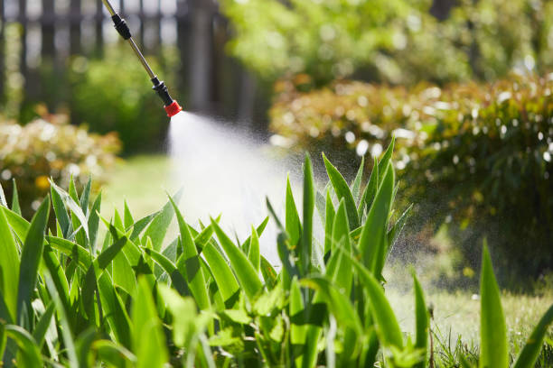 Tamper-Resistant Bait Stations for Rodents in Columbia