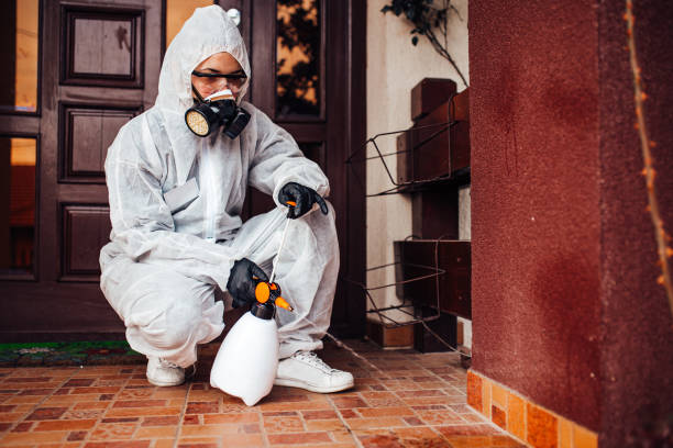 Attic and Crawl Space Rodent Treatment in Columbia