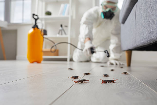 Commercial Rodent Management in Columbia